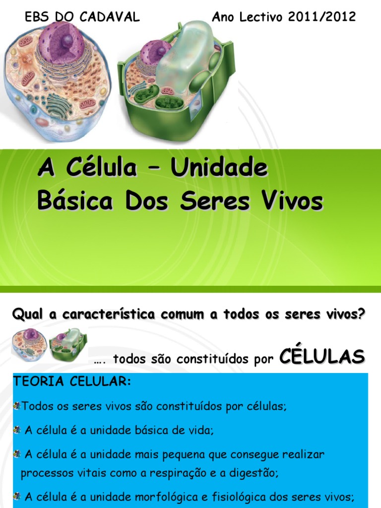 Célula: Unidade Básica da Vida | PDF | Procarionte | Célula (Biologia)
