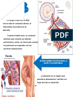 obstetricia 1