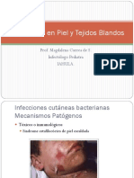 Infecciones en Piel y Tejidos Blandos (D)