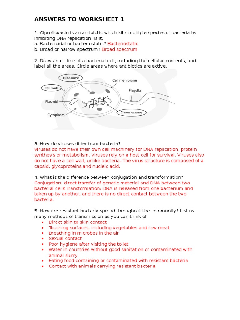 Bacteria and resistance case study answers picture