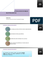 Familias Multiproblemáticas.pdf