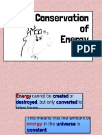 Conservation of Energy Erika