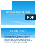 Terrestrial Trunked Radio