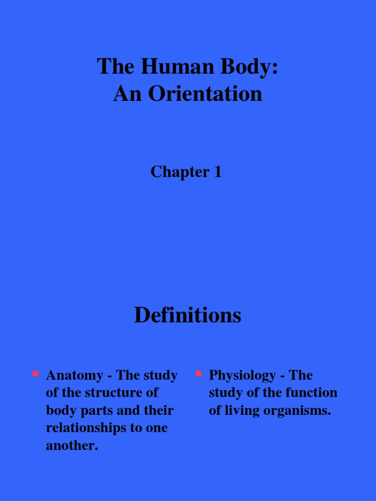 The Human Body: An Orientation: Chapter 1 | PDF | Anatomical Terms Of ...