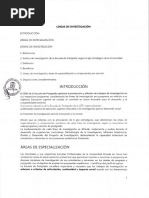 Lineas de Investigacion
