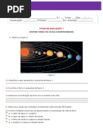 Expl8 Ficha Avaliacao 1