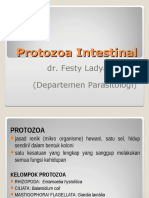 Dr. Festy Ladyani - Amoebiasis