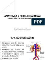 Anatomía y Fisiología Renal PDF