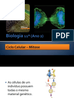 ciclocelular