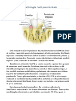 Etiologia Bolii Parodontale