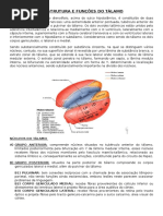 Estrutura e Funções Do Tálamo