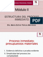 EXTRUCTURA DEL PROCESO INMEDIATO DIAPOSITIVAS II.pdf