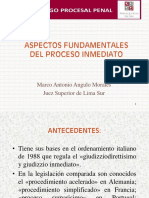 ASPECTOS FUNDAMENTALES DEL PROCESO INMEDIATO DIAPOSITIVAS I.pdf