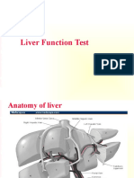 Liver Function Tests Explained