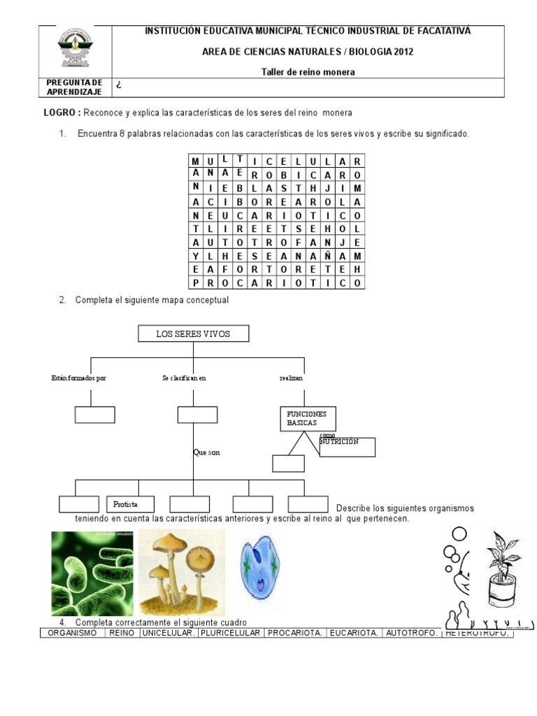 TALLER - Monera 2012 | PDF | Las bacterias | Algas