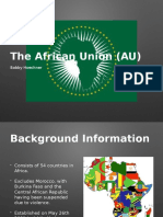 African Union Presentation - Bobby Hoechner