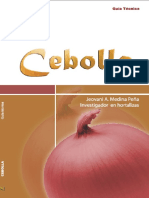 2008 guia tecnica cebolla.indd.pdf
