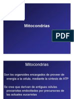 Microsoft PowerPoint - Mitocondrias - Peroxisomas