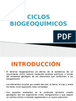 Ciclos biogeoquimicos.pptx