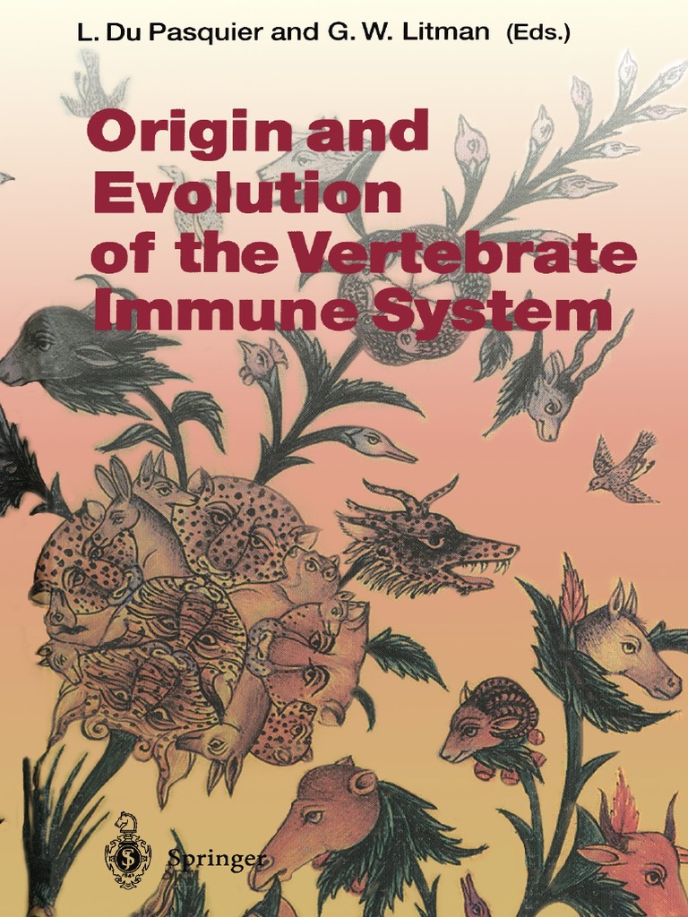 Origin And Evolution Of Vertebrate Immune System Adaptive Immune System Medical
