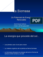 La Biomasa300