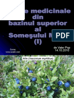 Plante medicinale din bazinul superior al Somesului          Mare(I).pps