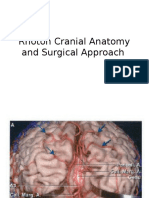 Rhoton Cranial Anatomy and Surgical Approach 2