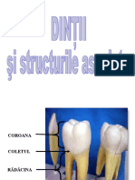 Digestiv II-dinţi ( EMO 2009)