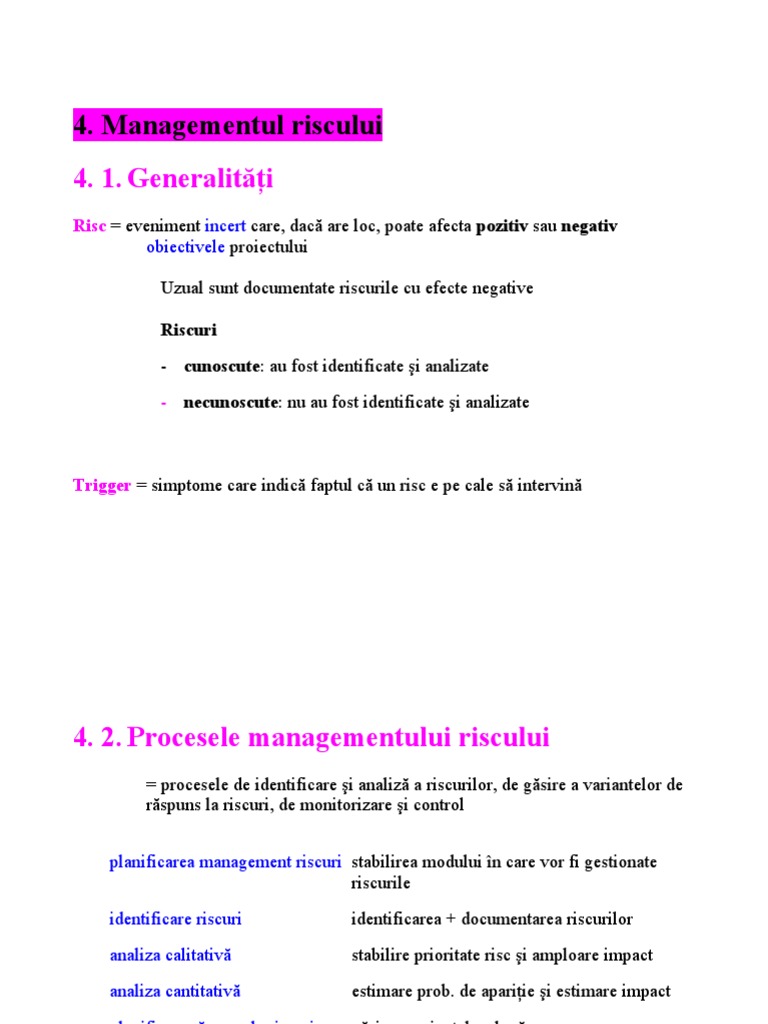 Managementul Riscului3 | PDF