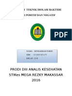 Makalah Teknik Isolasi Bakteri (P)