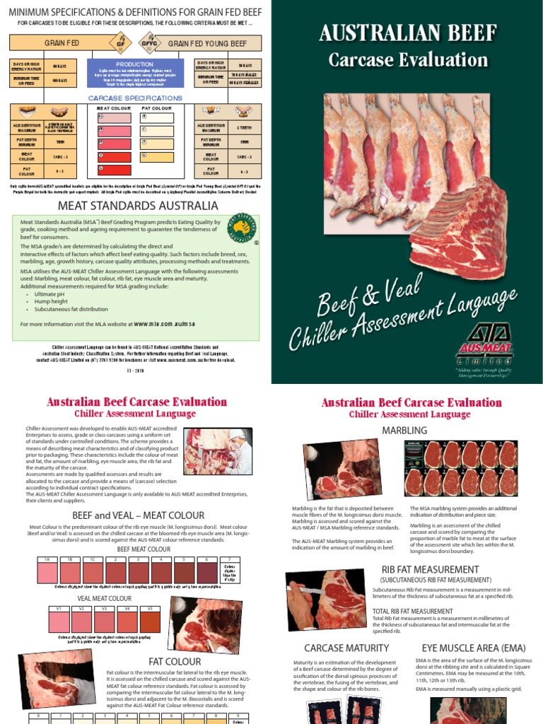 Beef & Veal Chiller Assessment Language PDF Beef Meat