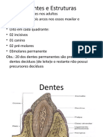 Dentes e Estruturas Parte 02