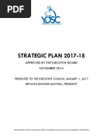 Ydsc Strategic Plan 2017