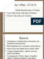 Bacterianotess 02