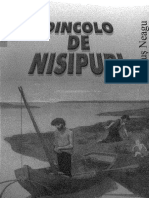 NEAGU Fanus Dincolo de Nisipuri (1)