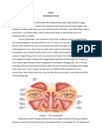 Referat Radiologi - Sinus Paranasal