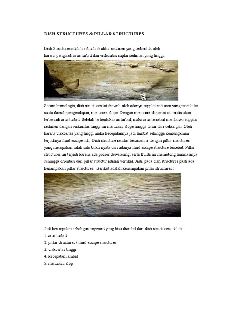 Dish Structures | PDF