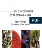 Nancy Moran - Effects of The Microbiome On The Behavior of Bees