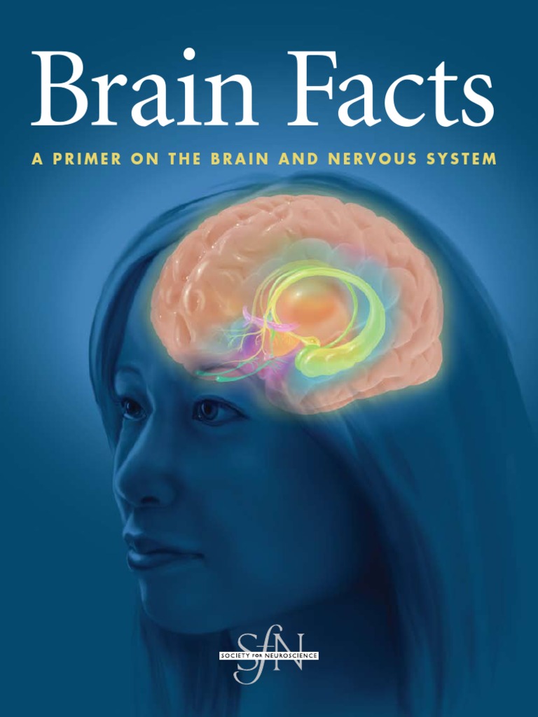 Brain Facts | PDF | Acetylcholine | Neurotransmitter