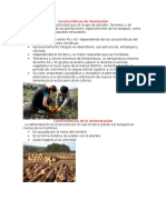 Características de Forestació1