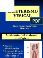 Cateterismo Vesical