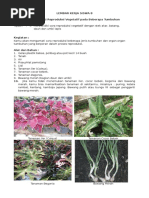 Download 8 LKS - Menyelidiki Reproduksi Vegetatif Tumbuhan by Agus Joko Sungkono SN337581790 doc pdf