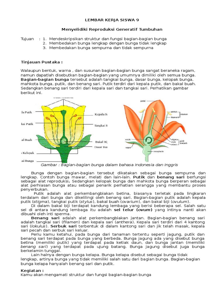  Gambar  Struktur Bunga  Sempurna Beserta  Keterangannya  