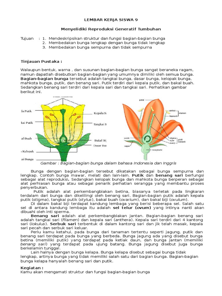 9 Lks Reproduksi Generatif Tumbuhan