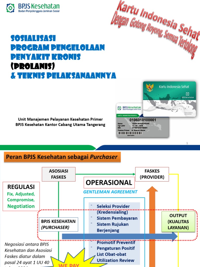 Program Prolanis: Pengelolaan Penyakit Kronis | PDF