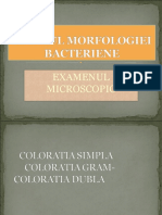 3.studiul Morfologiei Bacteriene