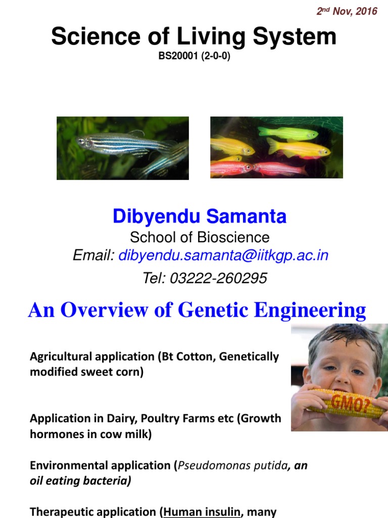 Genetic Engineering - D. Samanta - Nov 2016 | PDF | Plasmid | Molecular ...