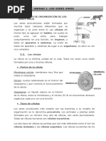 Unidad 1 Los Seres Vivos