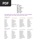 Aimsir Chaite Worksheet | PDF