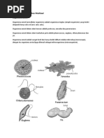 Nota Sains Tingkatan 1 Bab 2 KSSM